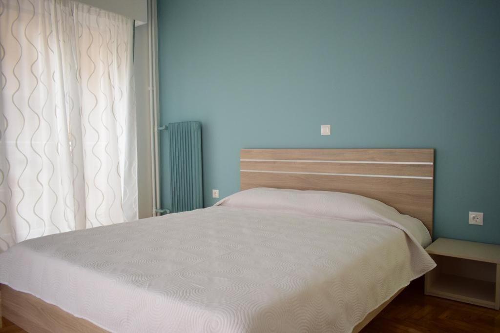 Beautiful Renovated Flat In Athens 아파트 외부 사진